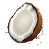 Noix de coco
