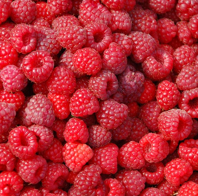 Framboise